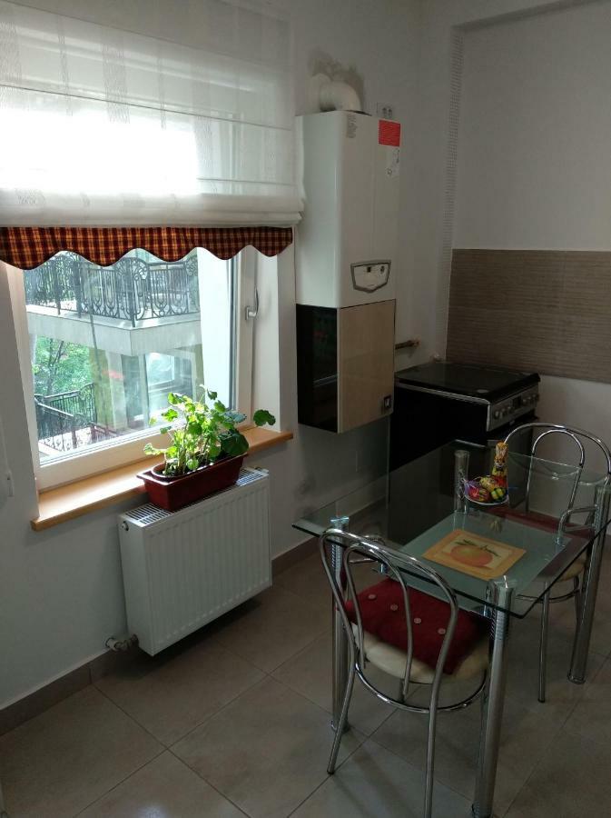 브라쇼브 Apartament Ramona 아파트 외부 사진